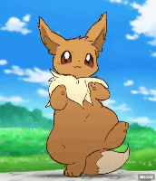 Look at this cute eevee I found