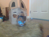 This is Copper before I furred him. 
