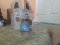 This is Copper before I furred him. 