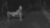 Someone took a picture took a picture of me at 2:37 am