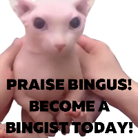 We MUST spread Bingism.