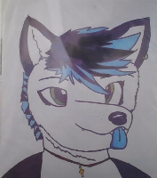 Just a picture I drew of my fursona, Everest.
