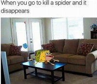 this is me when i see a bee in my room.