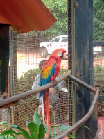 uhmmmmmm took this on the zoo lololololol