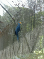 Blue this time.