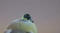 A protobean on a seal plushie.
What else is there to say?