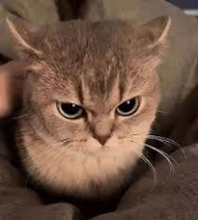 Hey guys..
Uhm..
Cough…
So how’s your day going…uhhh
I don’t have a lot….going on currently. 
Also non of the people that came back are active at all so….
POST. I WANNA TALK TO YOU