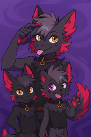 This crew came from Curcuits world