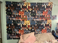 I don’t know guys this is hard TvT