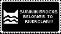 the sunningrocks DO belong to riverclan