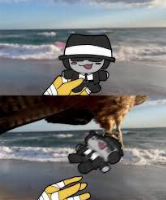 NOT THE CHANCE PLUSH