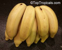 HAHA ARTFUL!!!!! SHOWTIME!!!