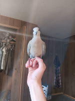 Luka and I are dating now. We made the decision earlier at 10 07 am today  
:3