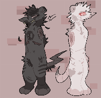 Bitch rats both are sold