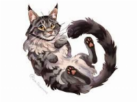 I'm getting a cat, and they're a Maine Coon breed!! They're adorable, and they're 4 months old x3