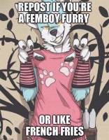 Repost if you are a femboy