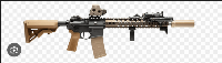this is my favorite gun its also the one my character uses