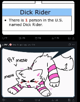 Dick rider