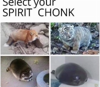 CHONKY           <(               .       w      .                  )>
