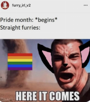 WE SHALL BE IMMUNE TO THE HOMOPHOBIA