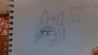 This is Firenze<3
Gender: None
Breed: Fox/Vampire
Age: 15
Urm idk what to call them
haallllppp