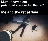 No