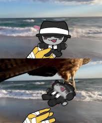 NOT THE CHANCE PLUSH