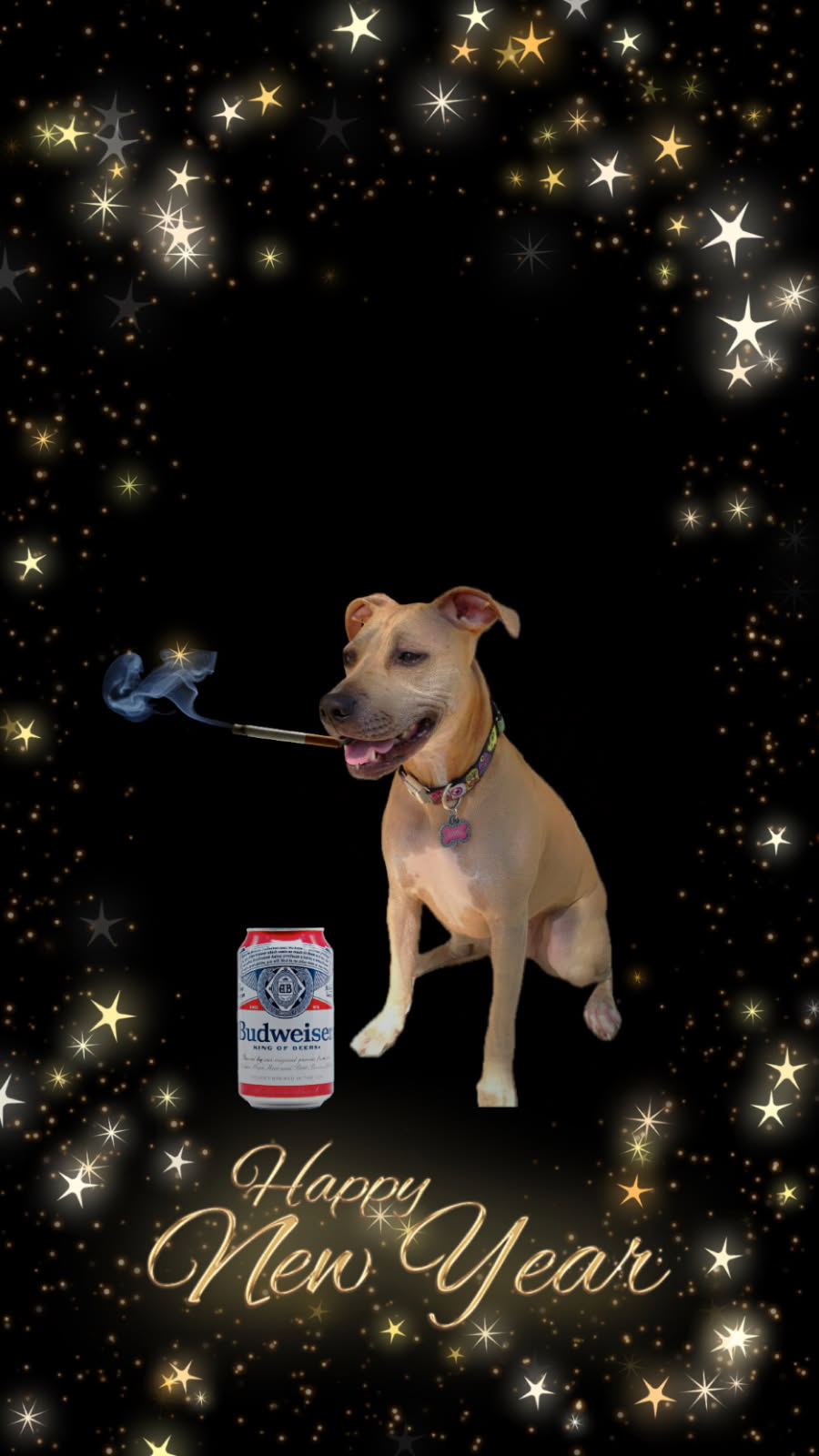 I know its kinda late but happy new year from Dr. Pepper!!! I hope everyone has a good year and that they can stick to their new years resolutions! Mine is to finally come out to my dad and tell my parents about me and @Joesi
What are yall looking forward to this year?