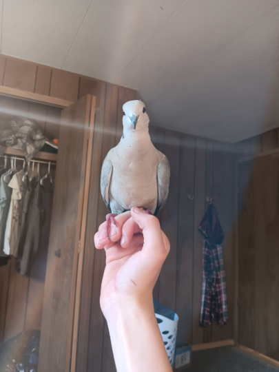  Luka and I are dating now. We made the decision earlier at 10 07 am today  
:3