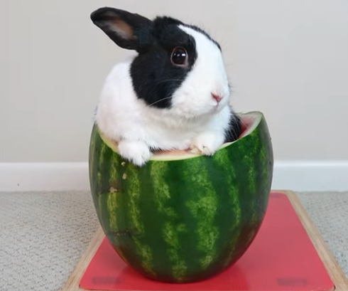 sorry for being..you know, absent? I just had a lot to do and I have friends and an actual social life out of this website!

anyways hello again!
hopefully I'll find more free time to be more online.