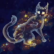 This is starkitty :3