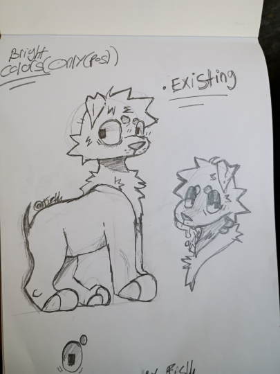 Yes I draw feral animals too 😺