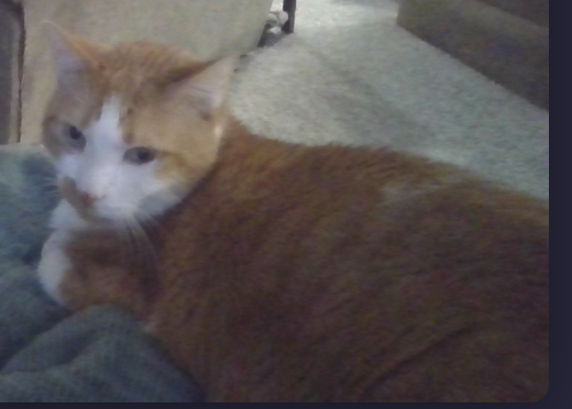 I LOVE HIM SO MUCH!!! :3