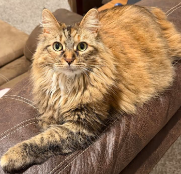 she is so cute... and a little sassy