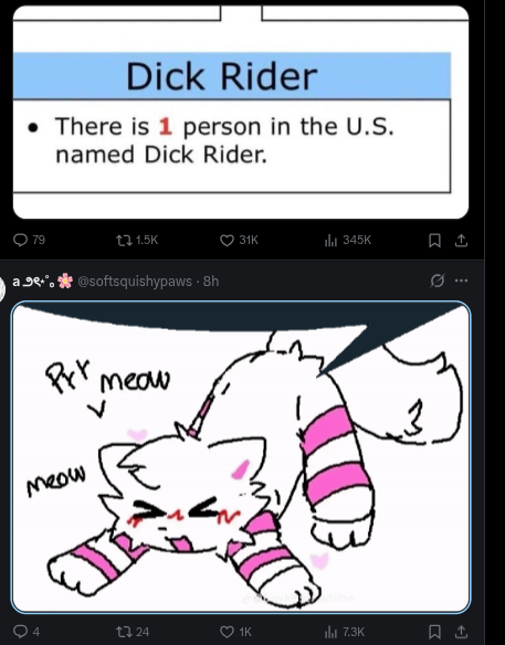 Dick rider